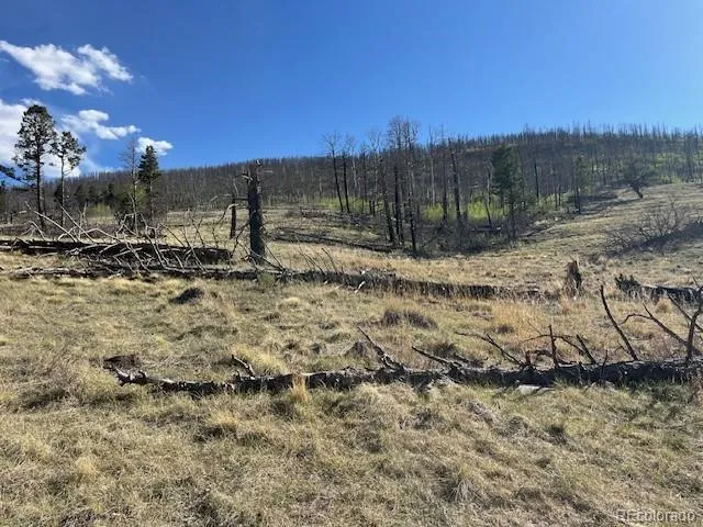 448 Wagon Mesa Loop Fort Garland, CO 81133