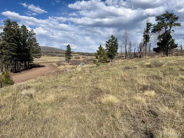448 Wagon Mesa Loop Fort Garland, CO 81133