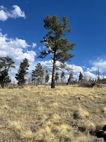 448 Wagon Mesa Loop Fort Garland, CO 81133