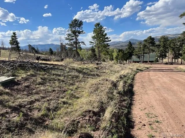 448 Wagon Mesa Loop Fort Garland, CO 81133