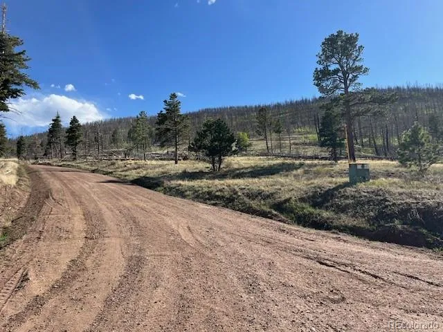 448 Wagon Mesa Loop Fort Garland, CO 81133