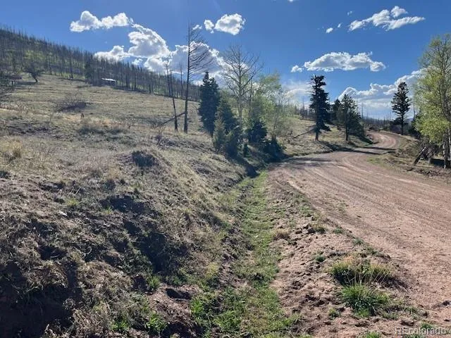 448 Wagon Mesa Loop Fort Garland, CO 81133