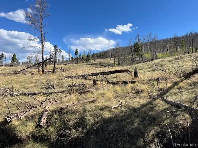 448 Wagon Mesa Loop Fort Garland, CO 81133