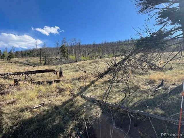 448 Wagon Mesa Loop Fort Garland, CO 81133