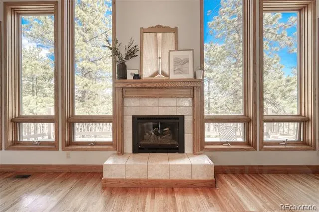 13353 County Road 261 J Nathrop, CO 81236