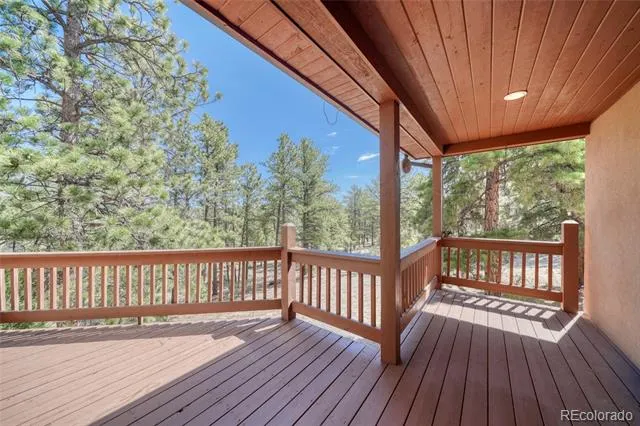 13353 County Road 261 J Nathrop, CO 81236