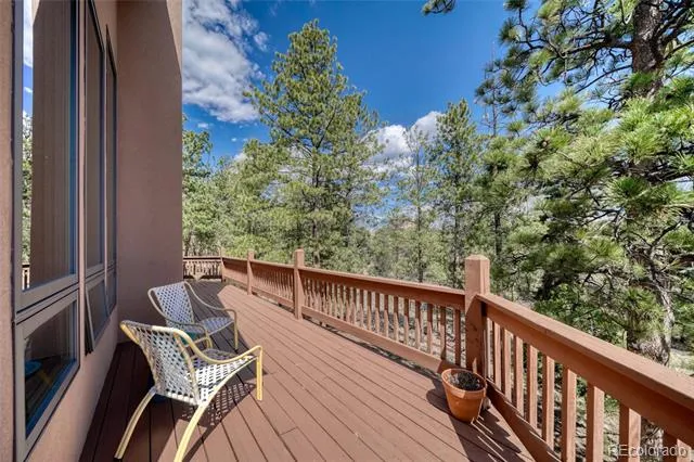 13353 County Road 261 J Nathrop, CO 81236