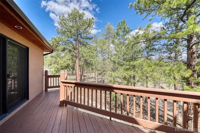 13353 County Road 261 J Nathrop, CO 81236