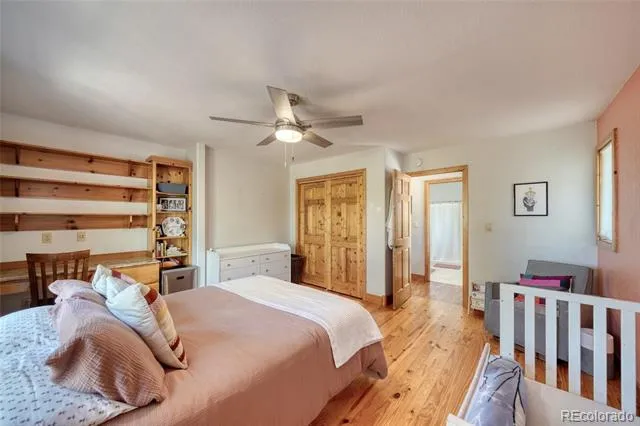 13353 County Road 261 J Nathrop, CO 81236