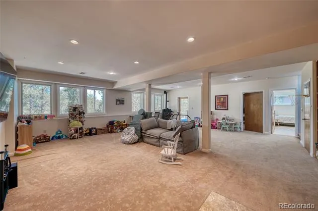 13353 County Road 261 J Nathrop, CO 81236