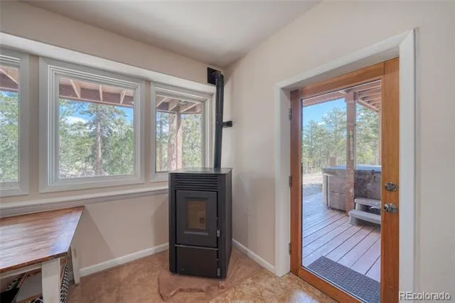 13353 County Road 261 J Nathrop, CO 81236