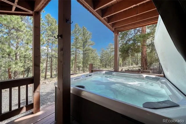 13353 County Road 261 J Nathrop, CO 81236