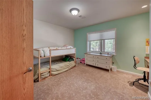 13353 County Road 261 J Nathrop, CO 81236