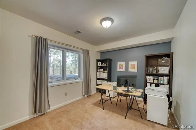 13353 County Road 261 J Nathrop, CO 81236
