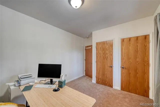 13353 County Road 261 J Nathrop, CO 81236