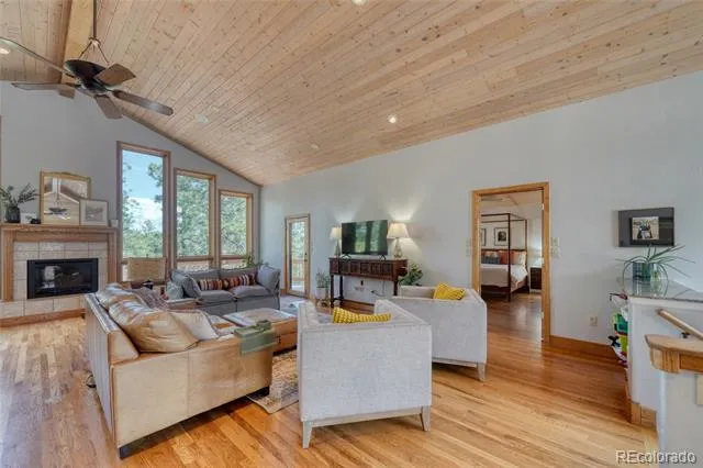 13353 County Road 261 J Nathrop, CO 81236