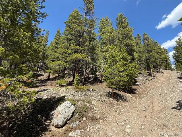 312 Vista Road Idaho Springs, CO 80452