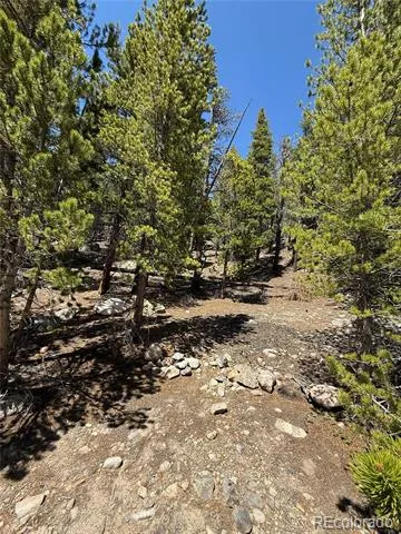 312 Vista Road Idaho Springs, CO 80452