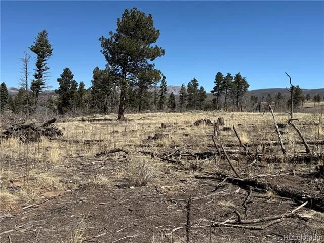 Lot 999 Foy Place Fort Garland, CO 81133