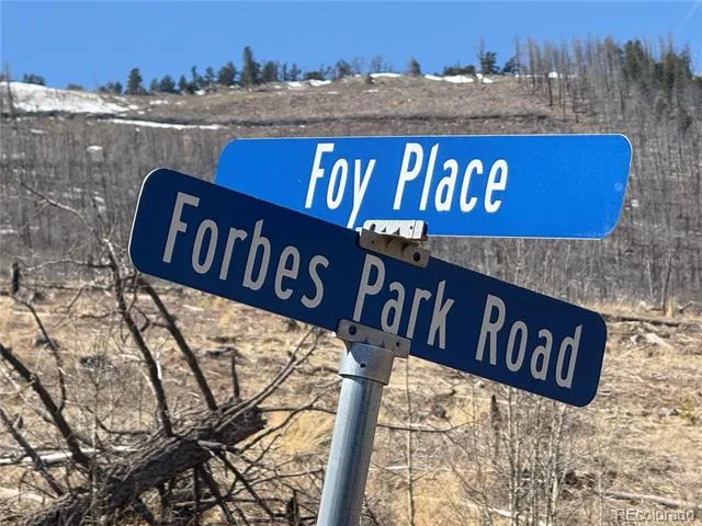 Lot 999 Foy Place Fort Garland, CO 81133