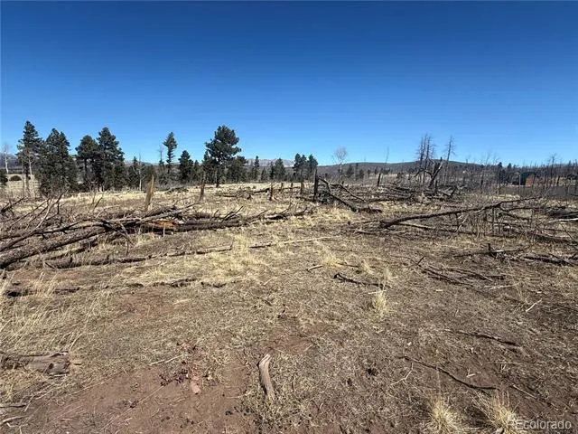 Lot 999 Foy Place Fort Garland, CO 81133