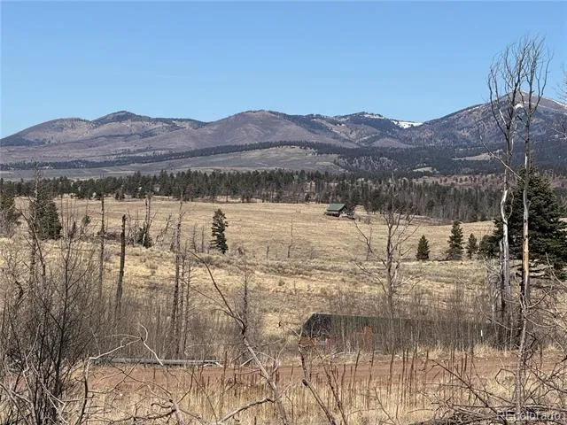 Lot 999 Foy Place Fort Garland, CO 81133