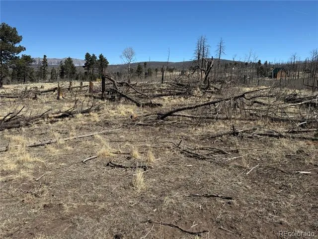 Lot 999 Foy Place Fort Garland, CO 81133