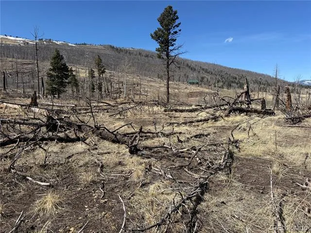 Lot 999 Foy Place Fort Garland, CO 81133