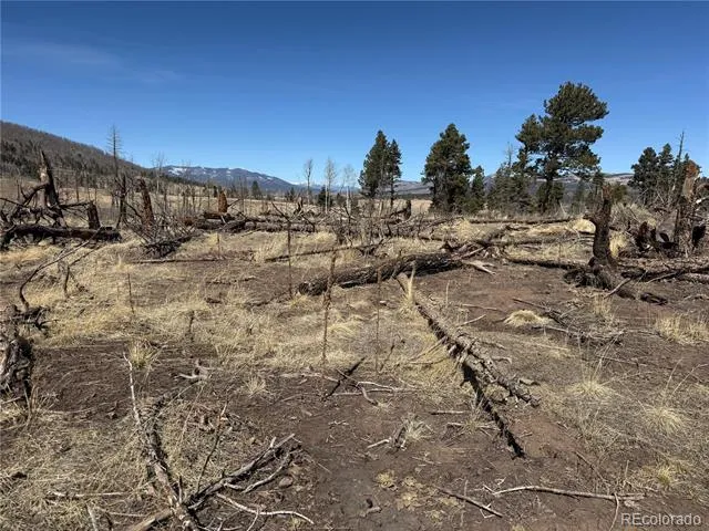 Lot 999 Foy Place Fort Garland, CO 81133