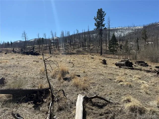 Lot 999 Foy Place Fort Garland, CO 81133