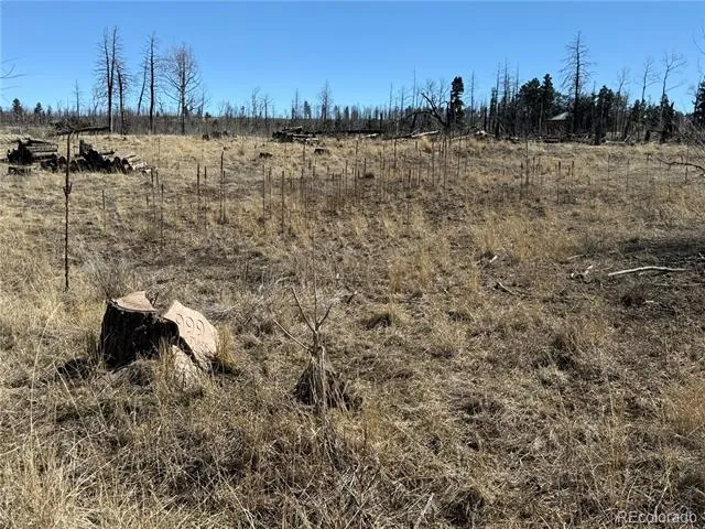 Lot 999 Foy Place Fort Garland, CO 81133
