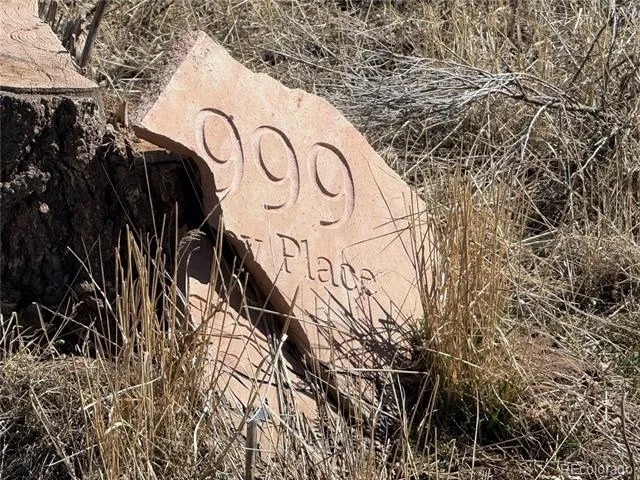 Lot 999 Foy Place Fort Garland, CO 81133