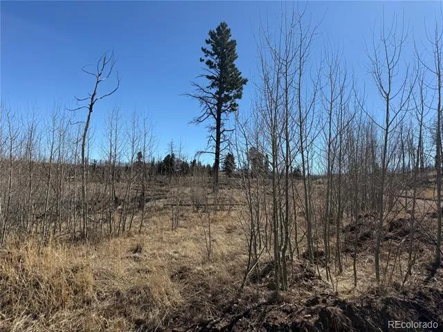 Lot 999 Foy Place Fort Garland, CO 81133