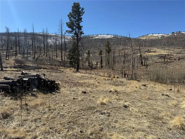 Lot 999 Foy Place Fort Garland, CO 81133