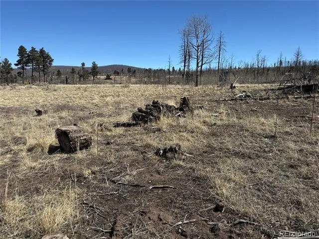 Lot 999 Foy Place Fort Garland, CO 81133