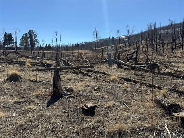 Lot 999 Foy Place Fort Garland, CO 81133