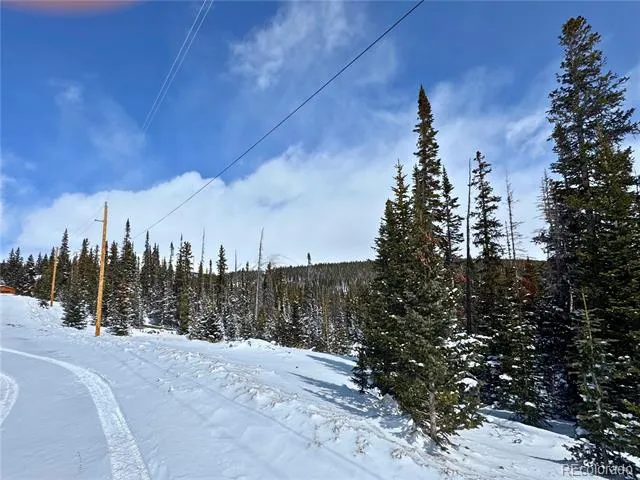 Address Not Shown Fairplay, CO 80440