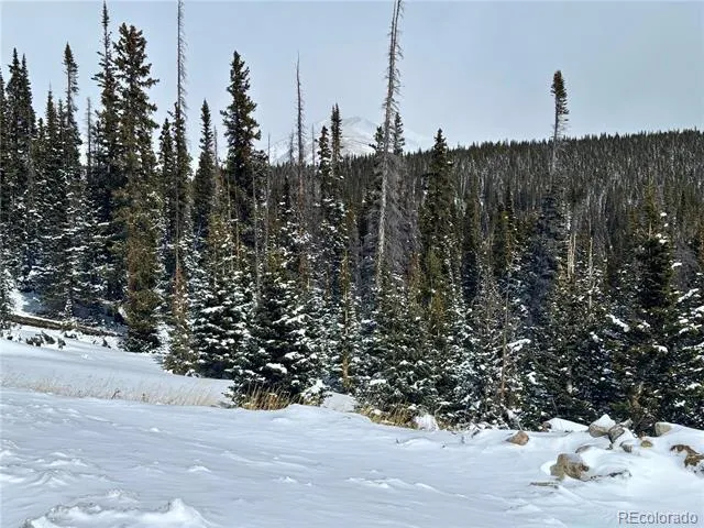 Address Not Shown Fairplay, CO 80440
