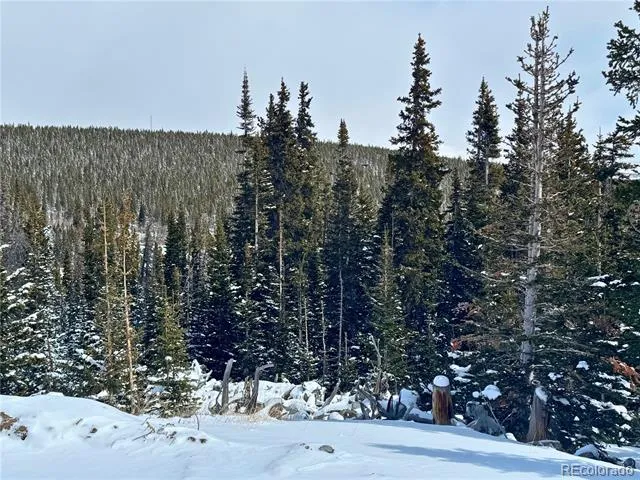 Address Not Shown Fairplay, CO 80440