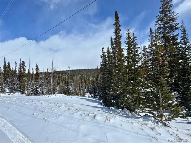 Address Not Shown Fairplay, CO 80440