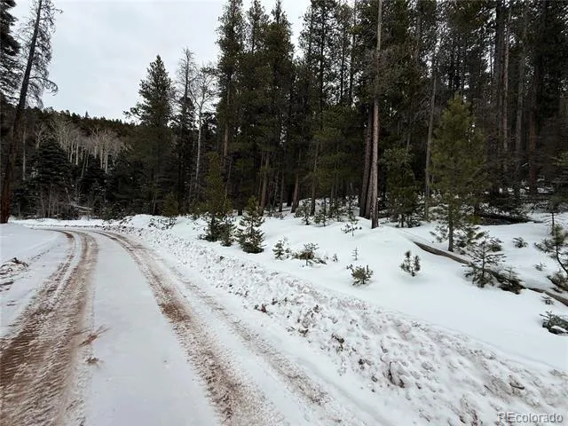 Lot 2805 Moir Drive Fort Garland, CO 81133