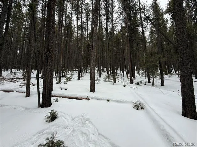 Lot 2805 Moir Drive Fort Garland, CO 81133
