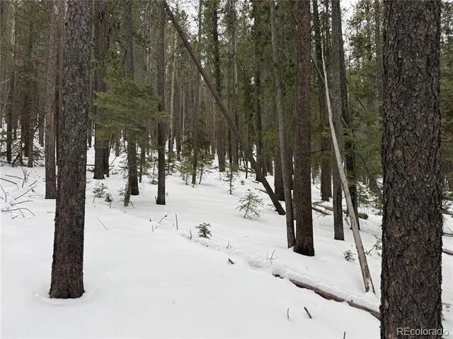 Lot 2805 Moir Drive Fort Garland, CO 81133