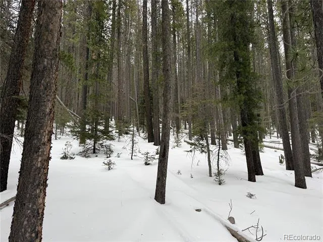 Lot 2805 Moir Drive Fort Garland, CO 81133