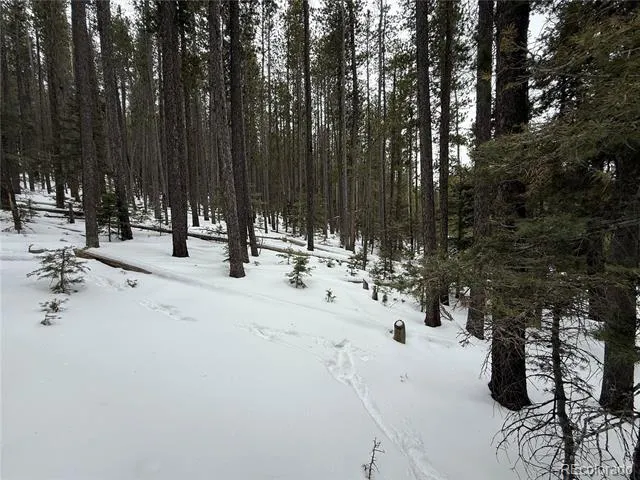 Lot 2805 Moir Drive Fort Garland, CO 81133