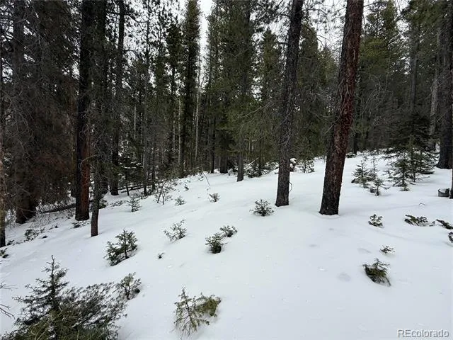Lot 2805 Moir Drive Fort Garland, CO 81133