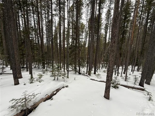Lot 2805 Moir Drive Fort Garland, CO 81133