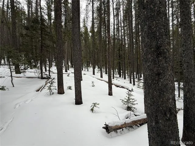 Lot 2805 Moir Drive Fort Garland, CO 81133