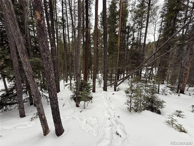 Lot 2805 Moir Drive Fort Garland, CO 81133