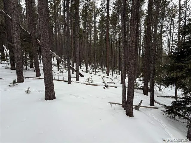 Lot 2805 Moir Drive Fort Garland, CO 81133